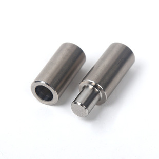 Engsel Pivot Pintu